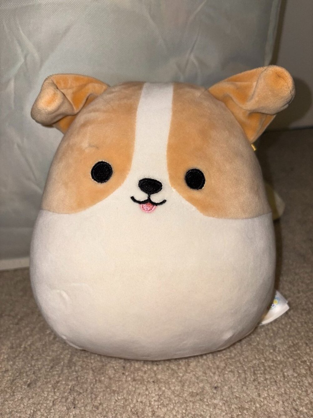 Authentic Squishmallow Jack Russell Terrier - Fitch